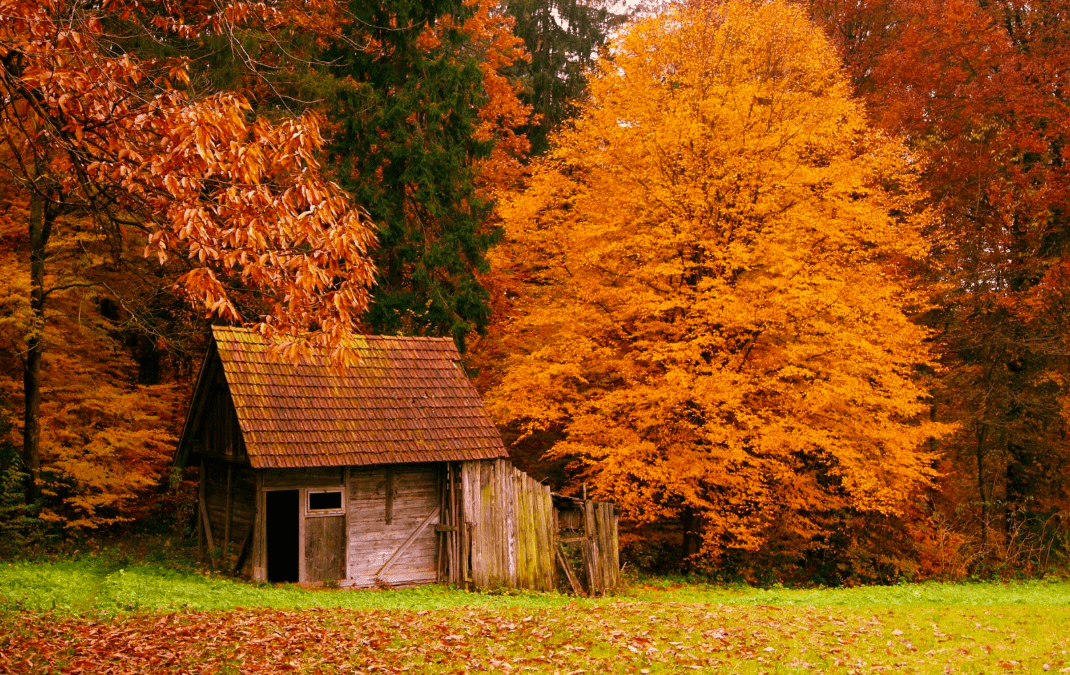 2019 Fall Newsletter