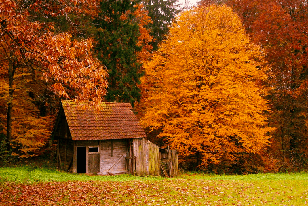 2019_Fall_Newsletter_—_Sterett_Association