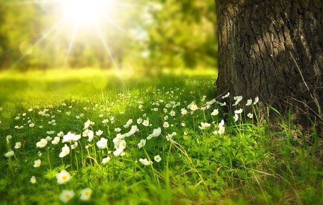 2019 Summer Newsletter